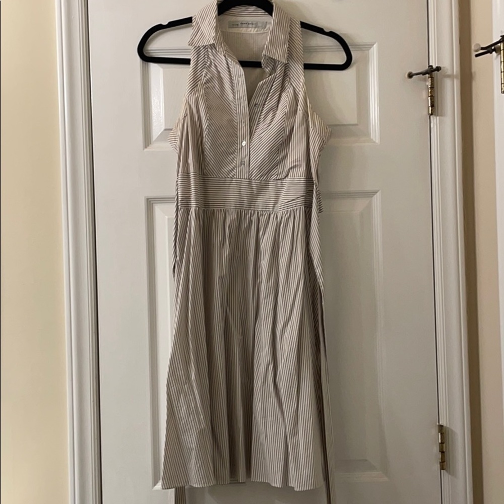 Zara Collar Dress